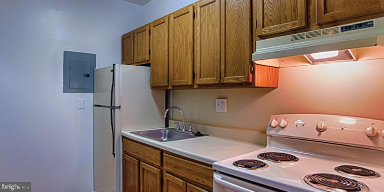 3900 CHESTNUT STREET Unit: 0B-1001