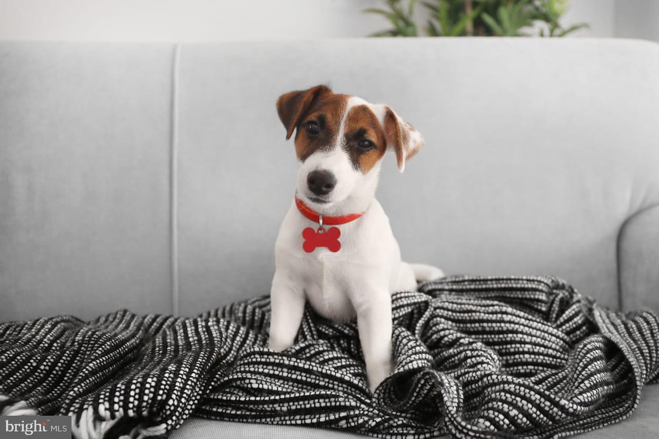 834 CHESTNUT STREET Unit: 1B-1620