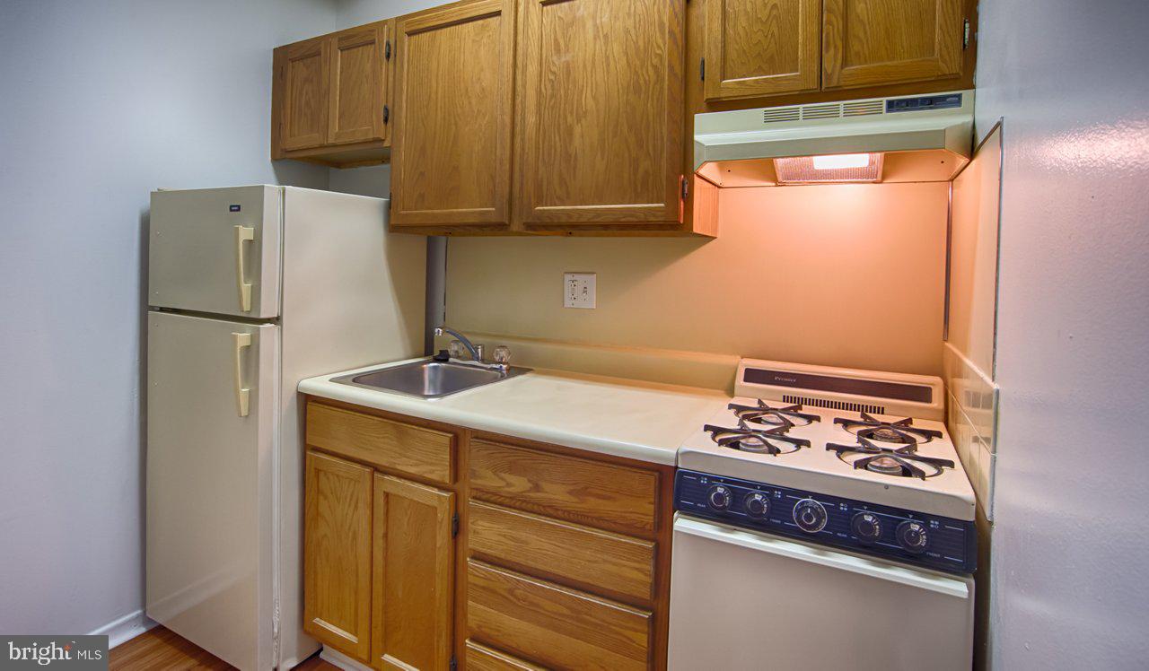 3900 CHESTNUT STREET Unit: 0B-529