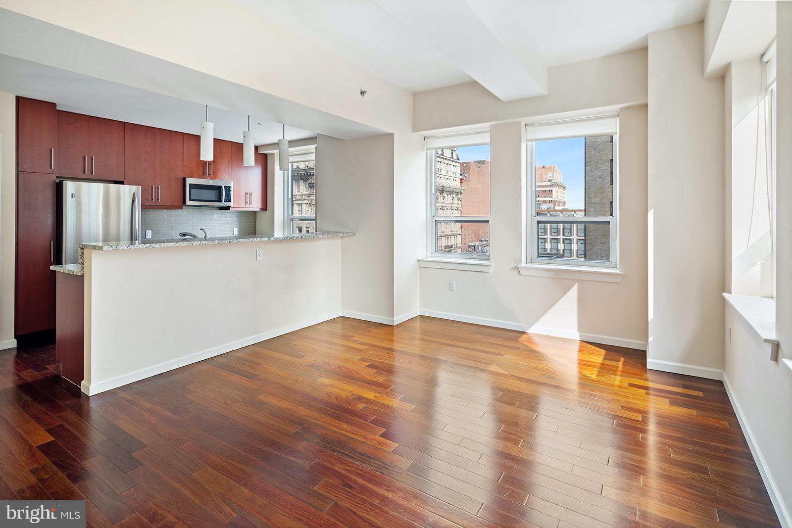 1425 LOCUST STREET Unit: 17B