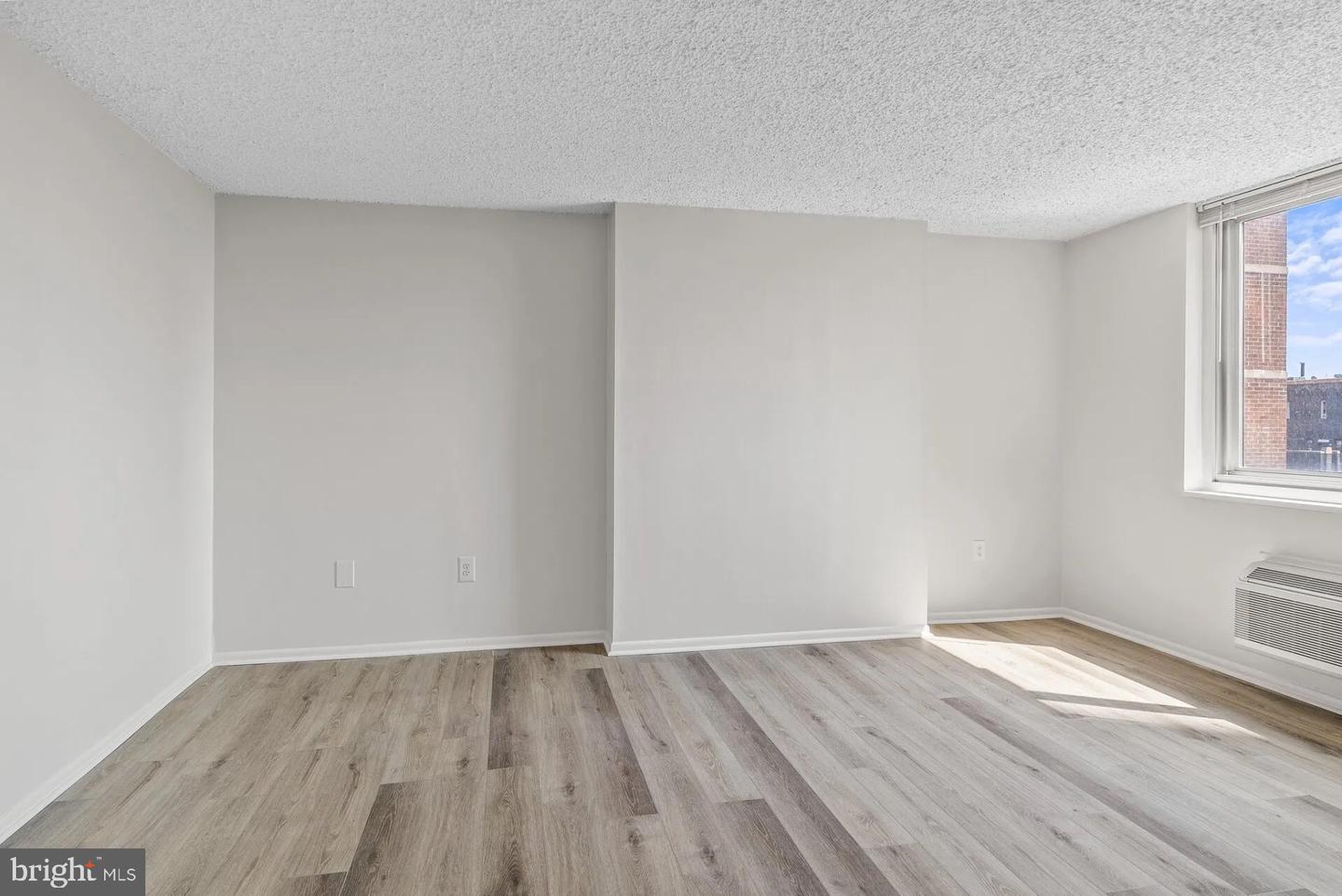 1500 LOCUST STREET Unit: 1B-3310