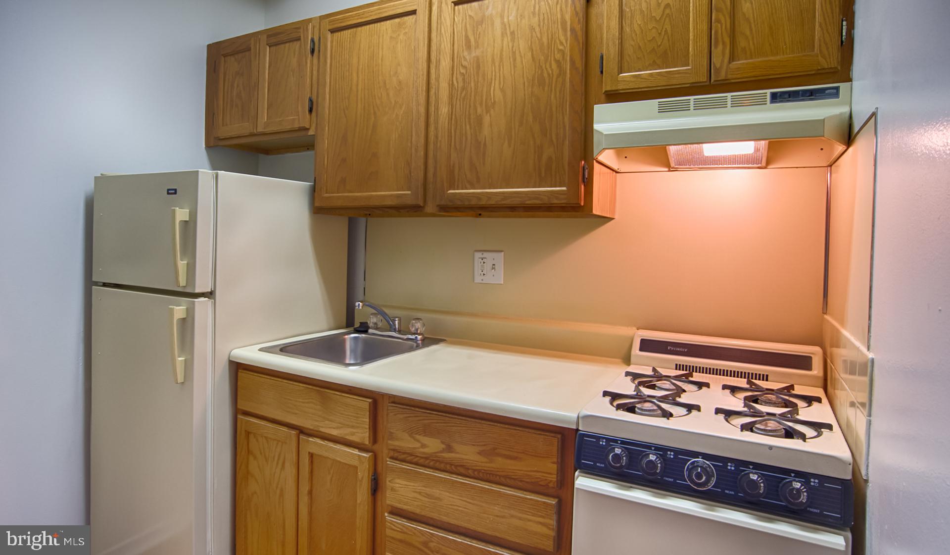 3900 CHESTNUT ST #0B-307