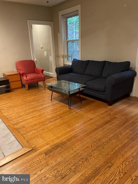 2009 SPRING GARDEN #4