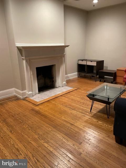 2009 SPRING GARDEN #4