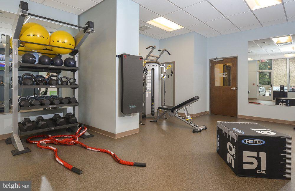 515 W CHELTEN AVE #2B-1404