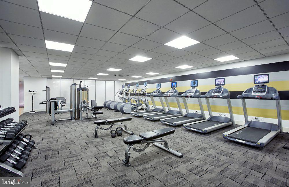 1616 WALNUT STREET 1B-1806