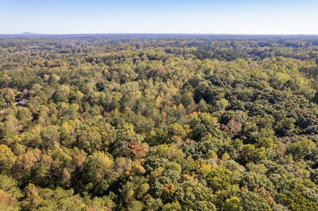 13250 Birmingham Highway