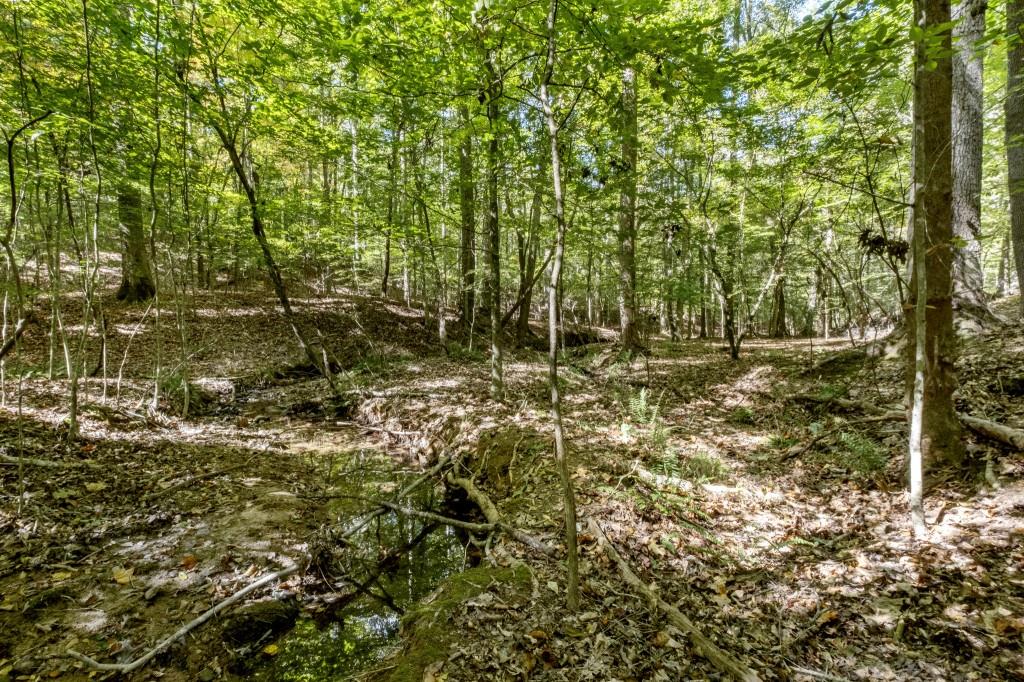 13250 Birmingham Highway