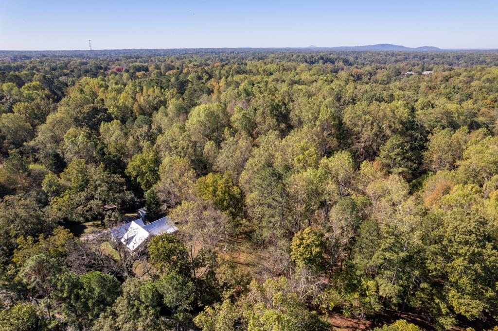 13250 Birmingham Highway