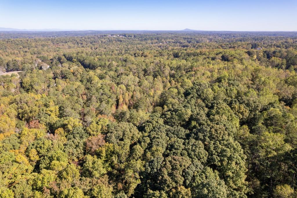 13250 Birmingham Highway