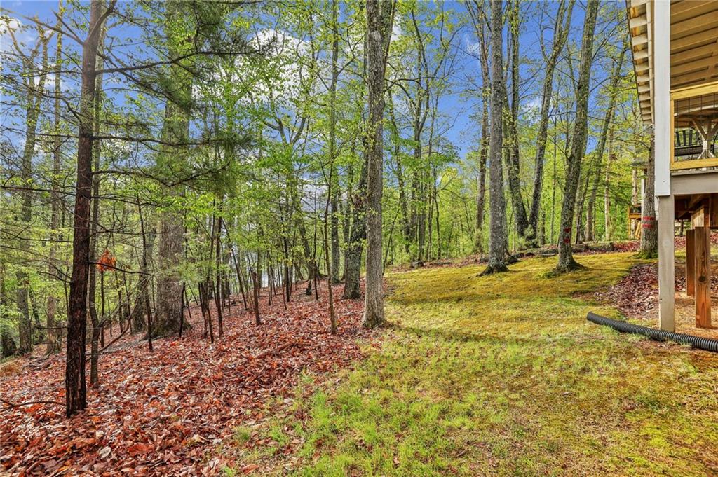 3115 Chimney Cove Lane
