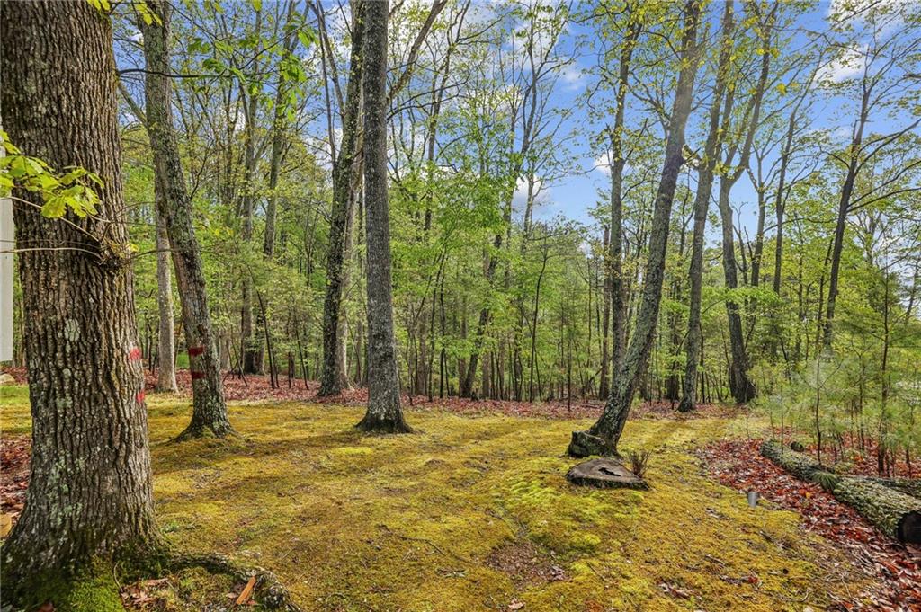 3115 Chimney Cove Lane