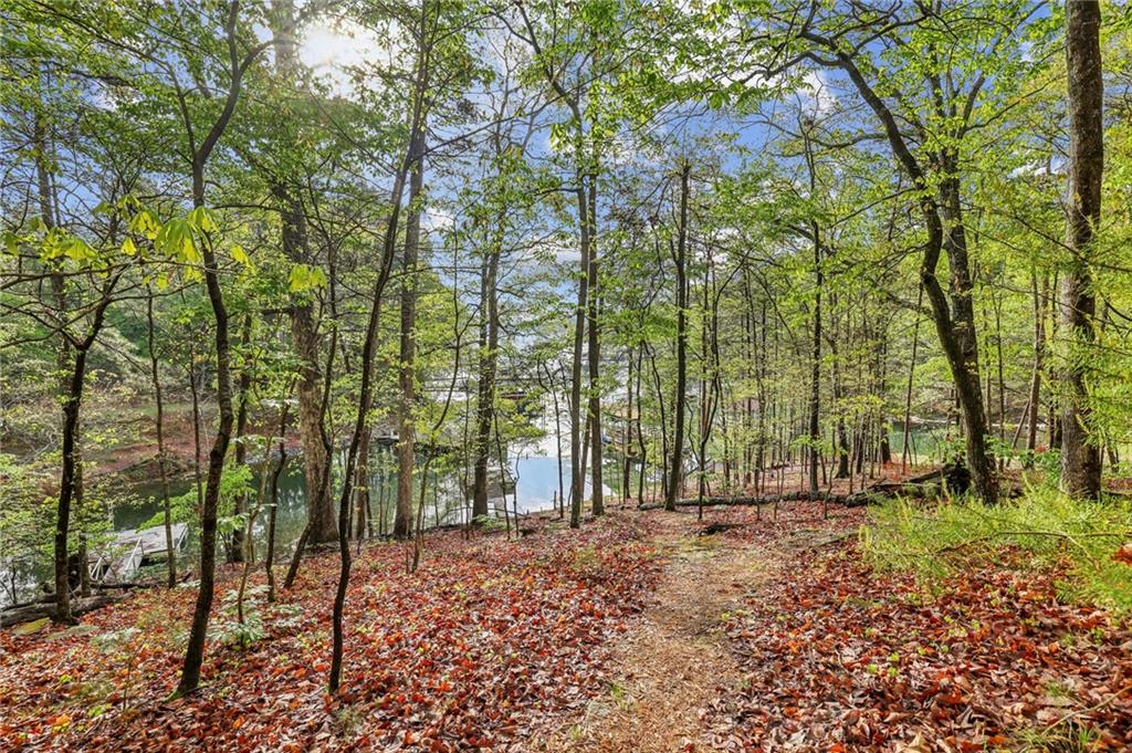 3115 Chimney Cove Lane