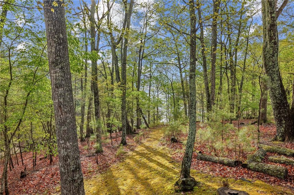 3115 Chimney Cove Lane