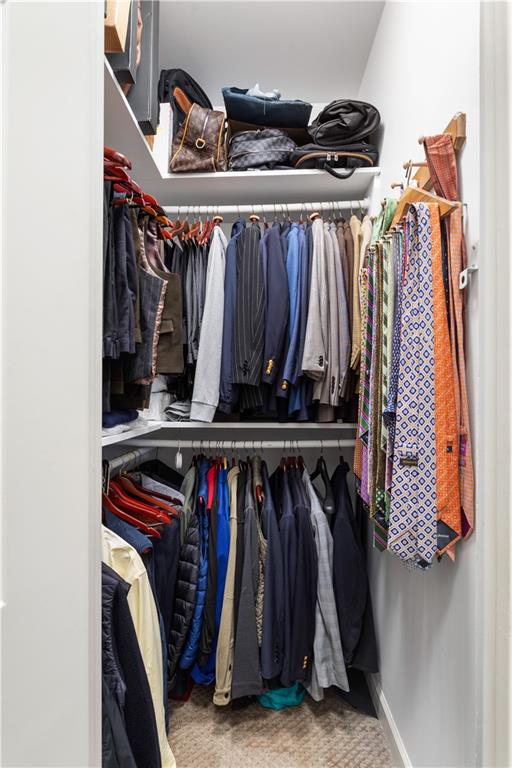 3910 Spalding Bluff Drive