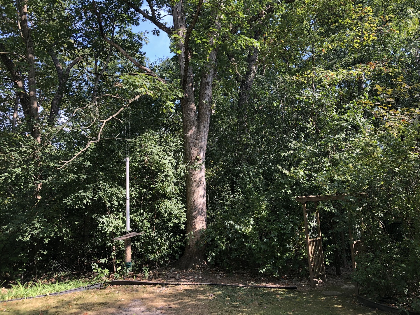 1275 Oak Trail Drive