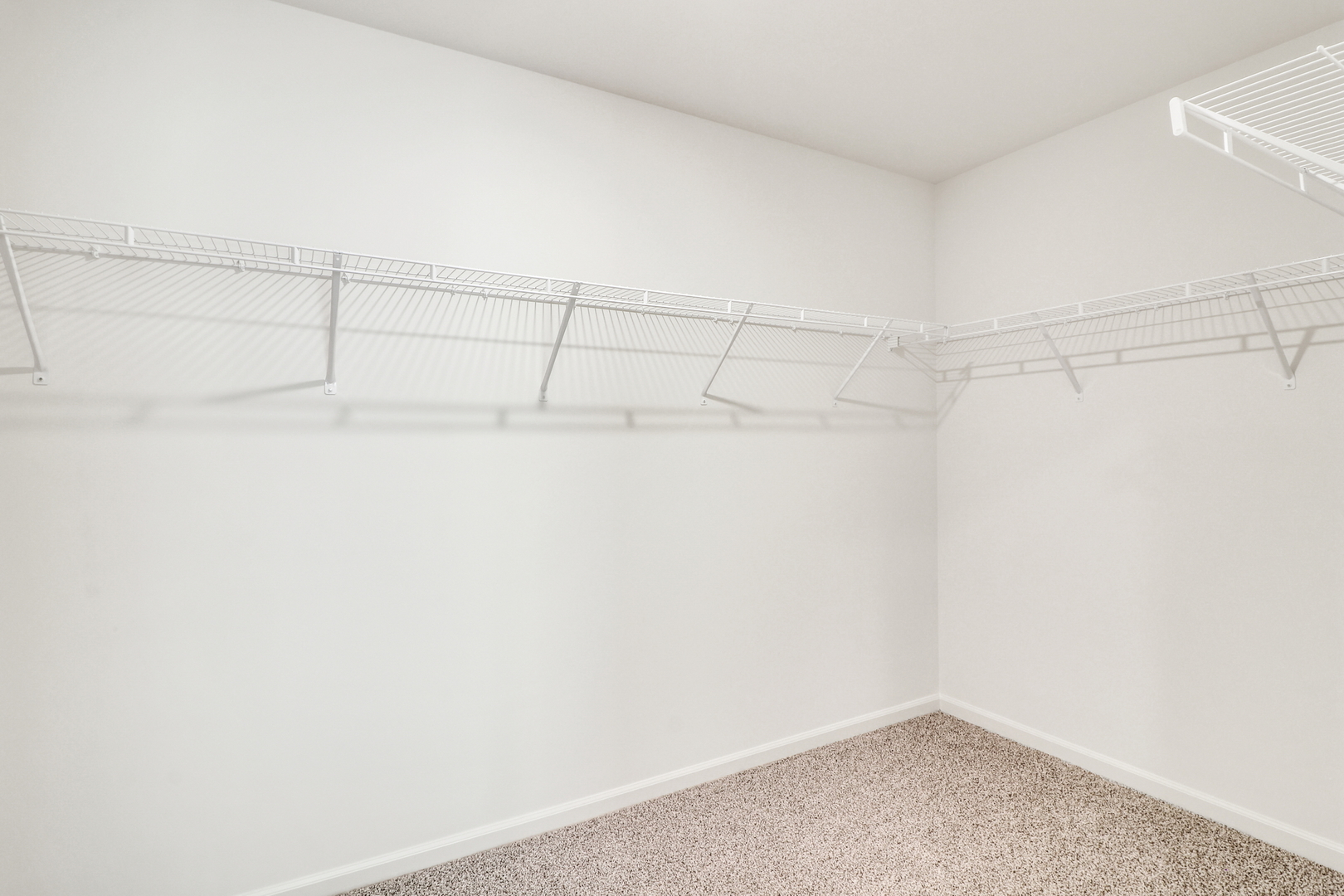 1299 Tiger Lily Drive