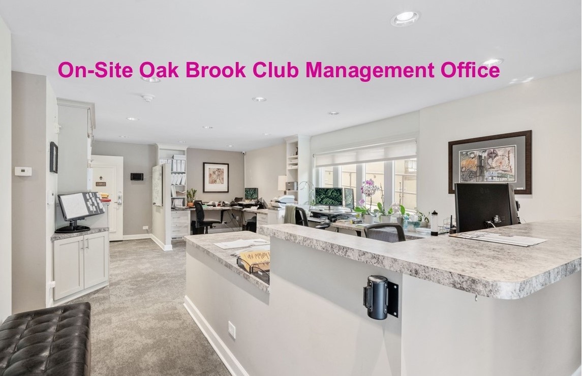 3 Oak Brook Club Drive Unit: E207