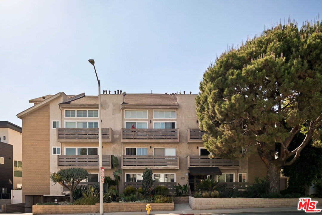 Beige apartment building with stacked balconies, landscaped frontage, and a large pine tree.