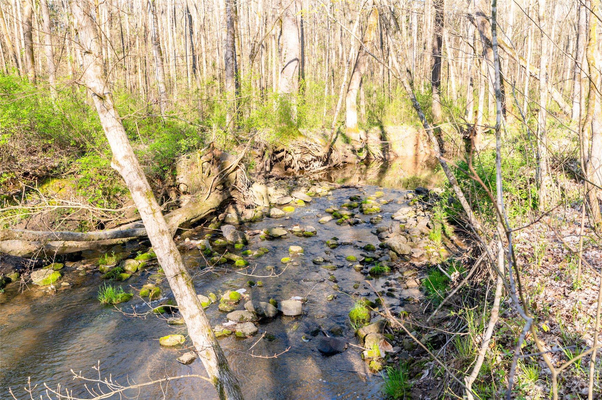 740 Renshaw Ford Road