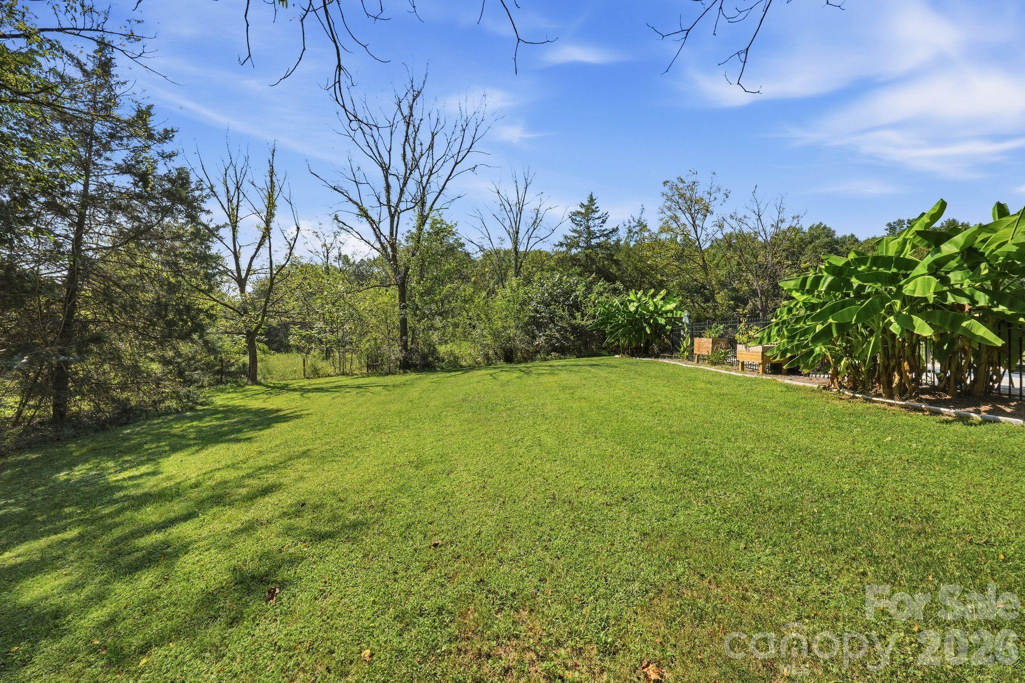 Spacious backyard lawn bordered by trees, with banana plants beside a fenced garden.