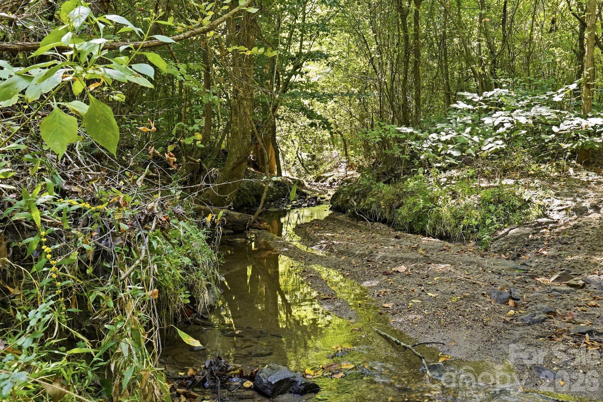 Wooded property creek with sunlit water and a rocky bank.