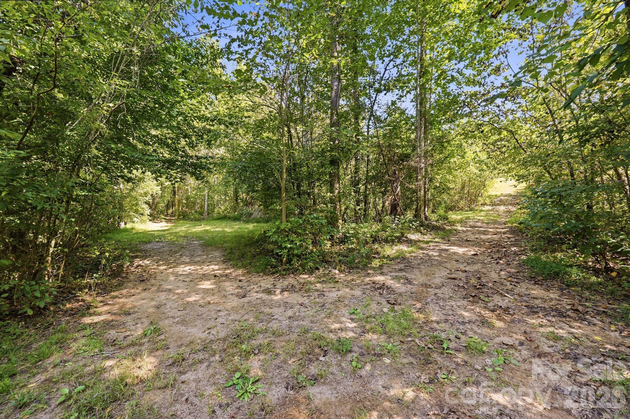 Wooded property with a dirt clearing and paths winding through dense trees.