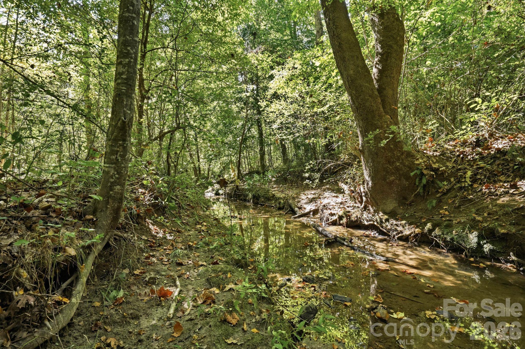 Wooded property with a shallow creek winding between mature trees.