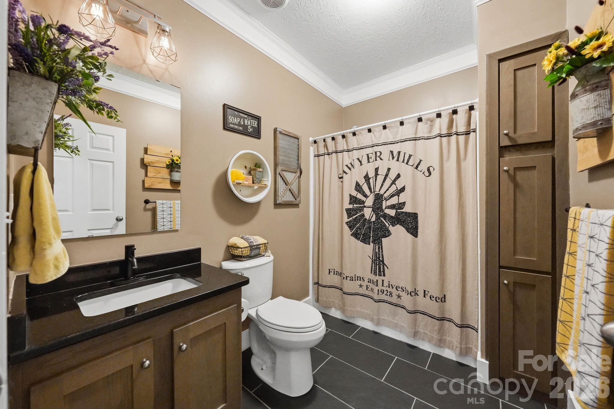 Bathroom with a dark wood vanity and a windmill-print shower curtain.