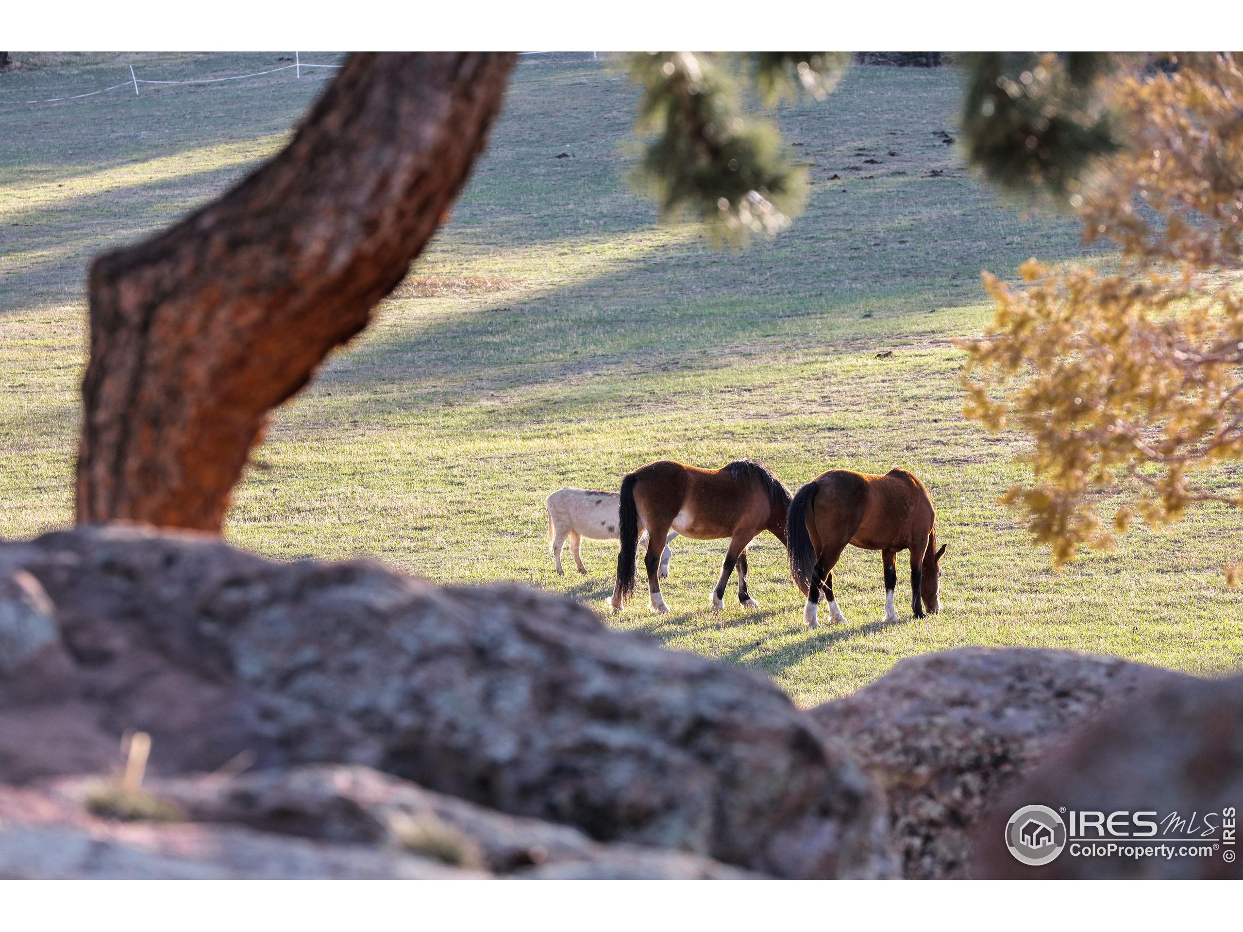 1740 Spring Gulch Dr