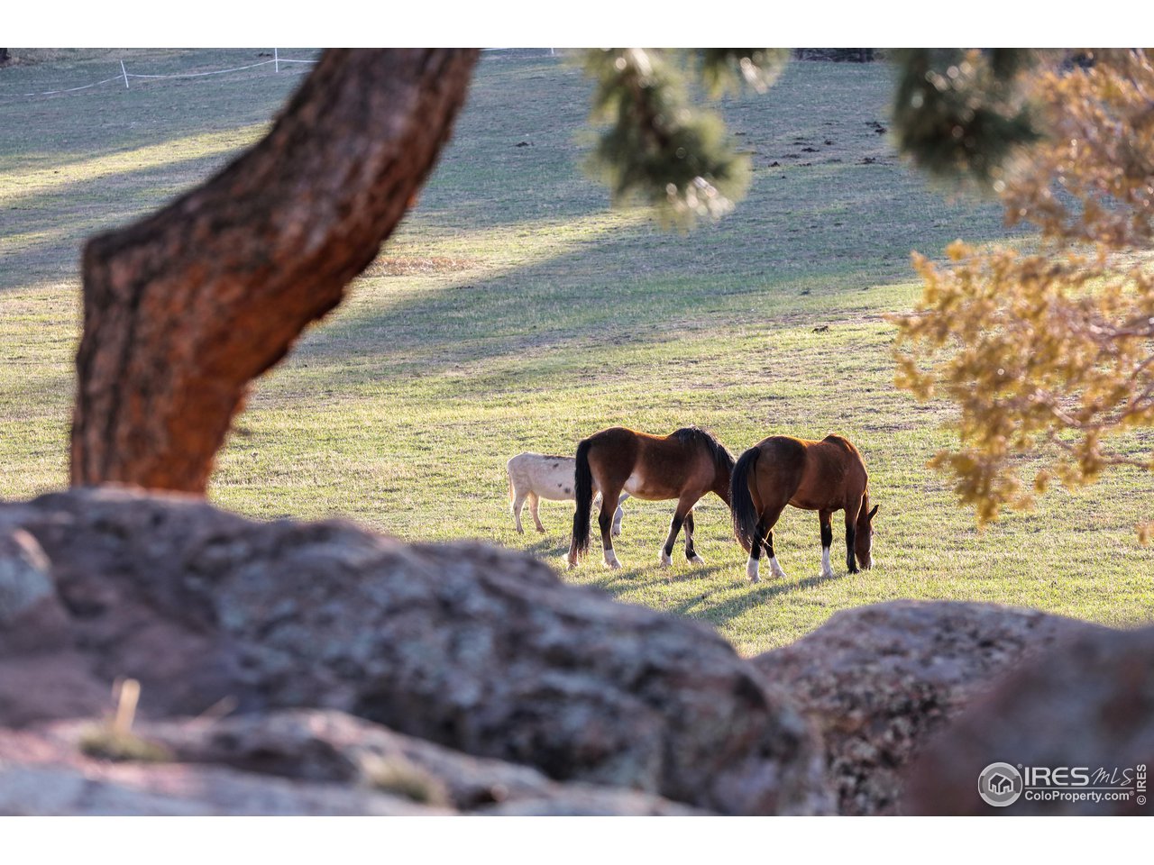 1740 Spring Gulch Dr