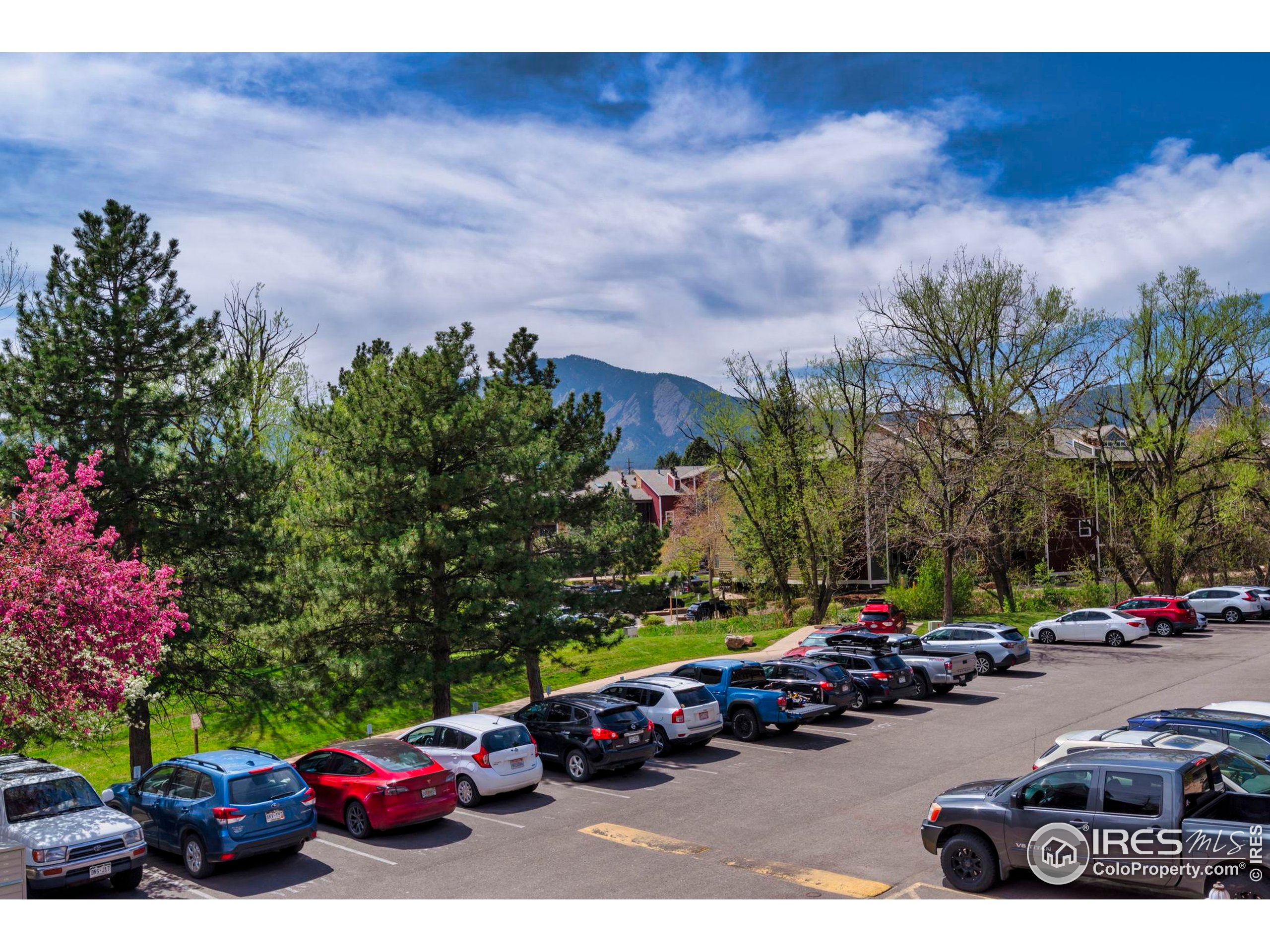 2879 Shadow Creek Dr 306