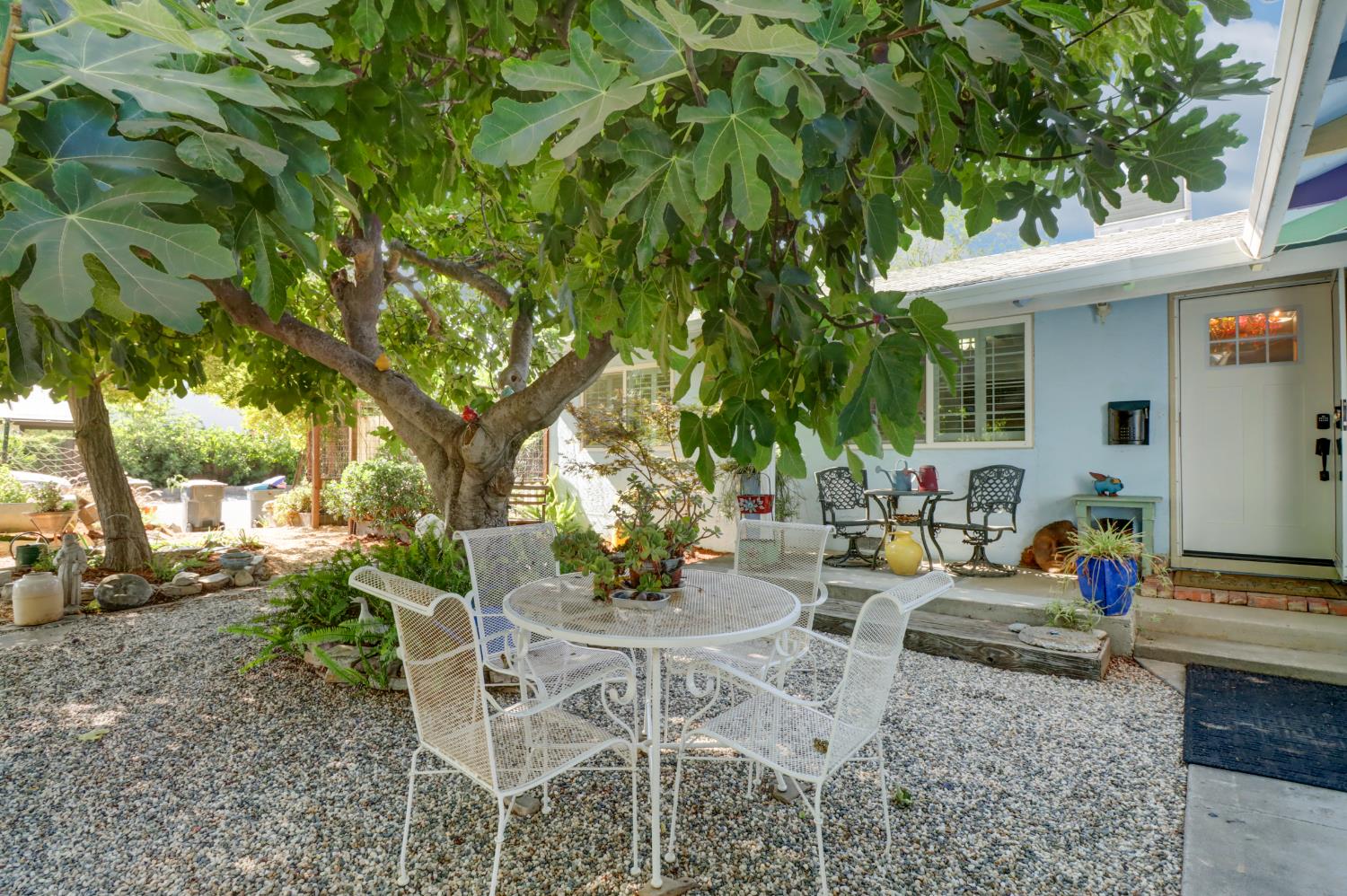 2405 Temple Drive