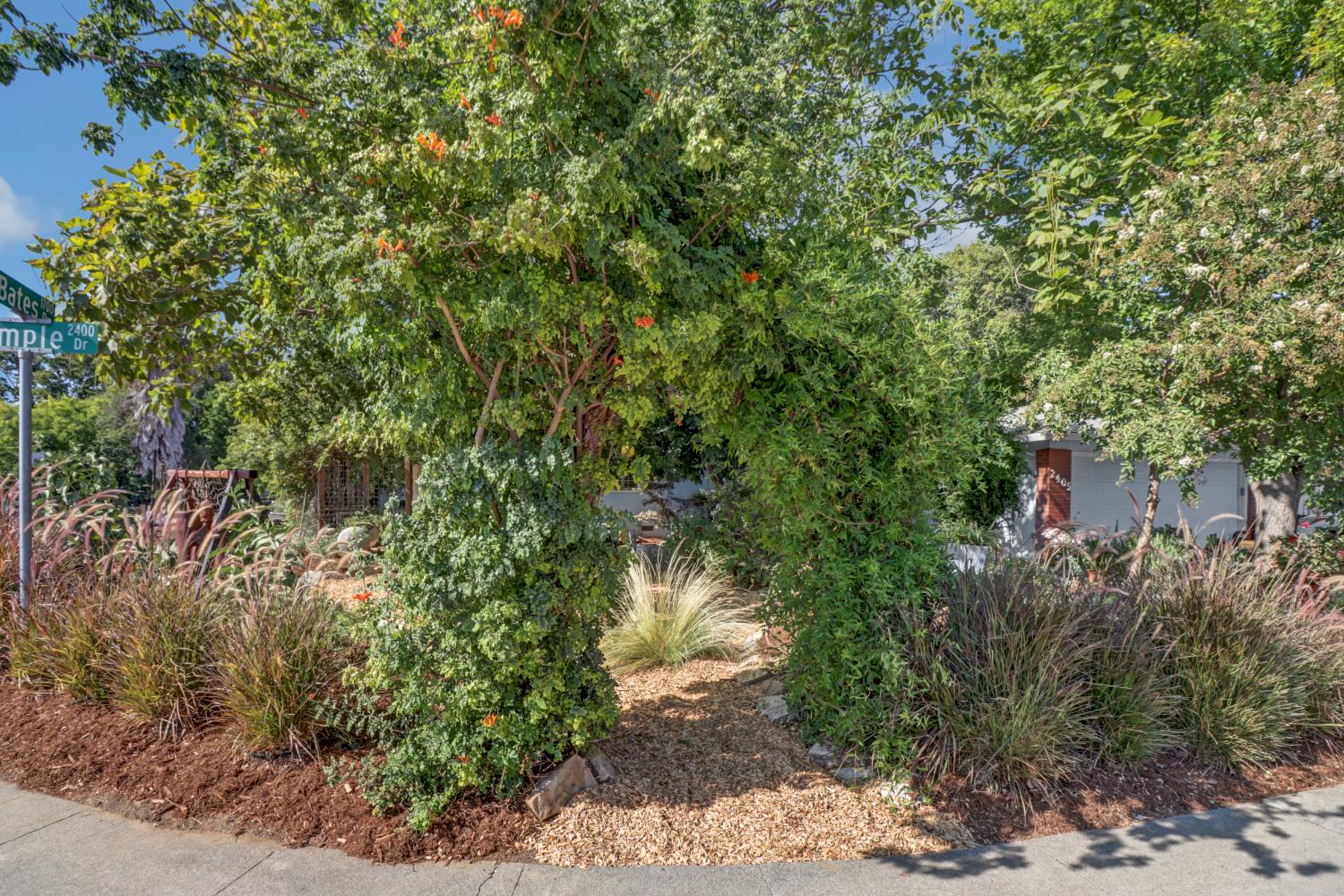 2405 Temple Drive