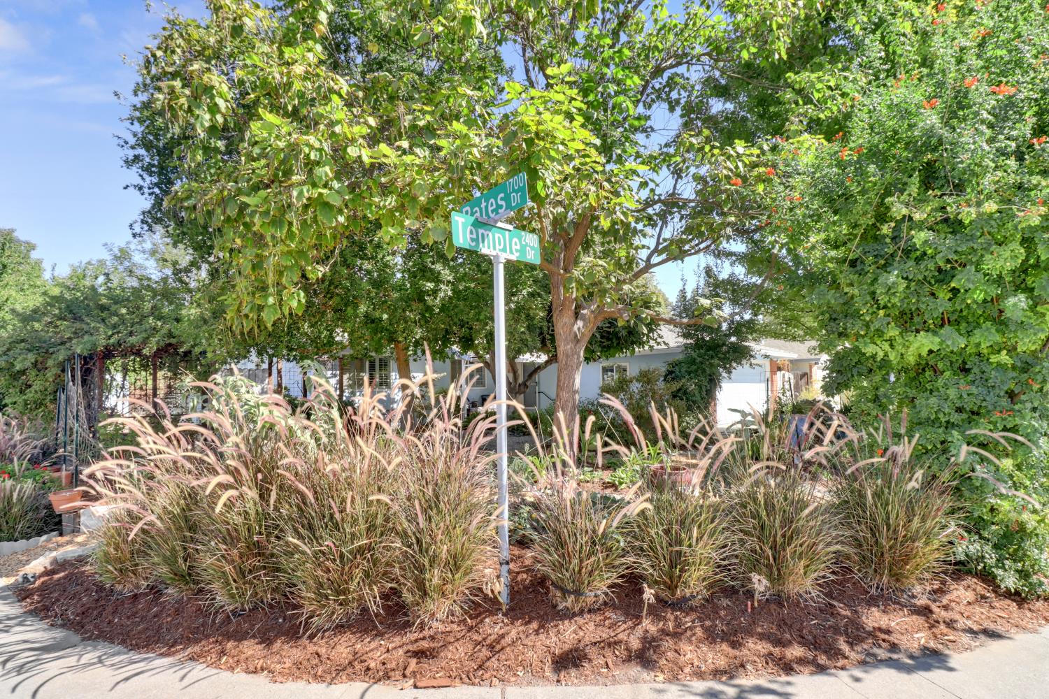 2405 Temple Drive