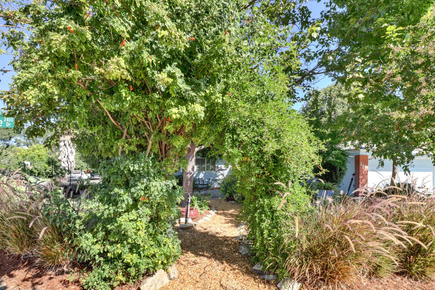 2405 Temple Drive