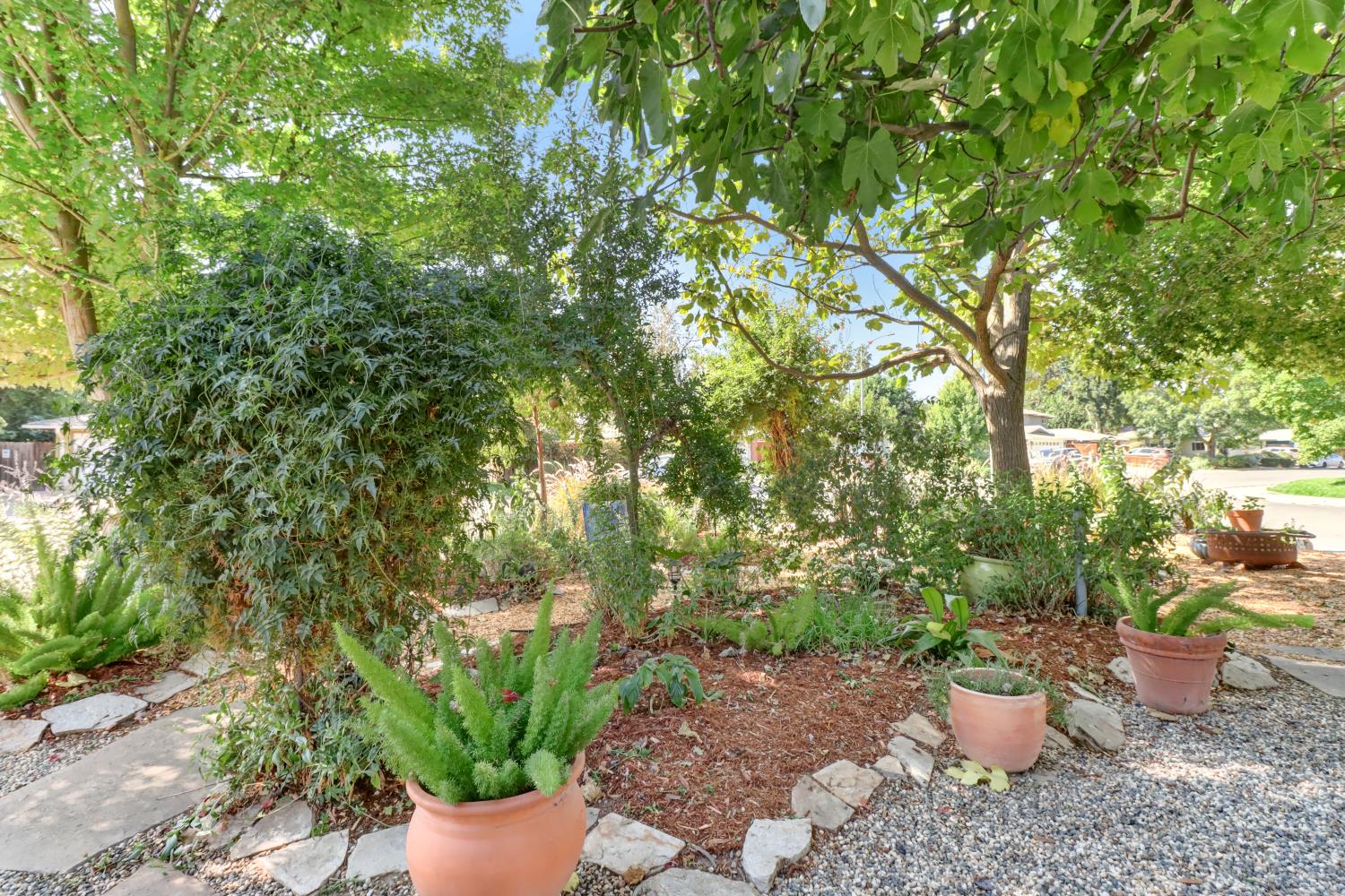 2405 Temple Drive