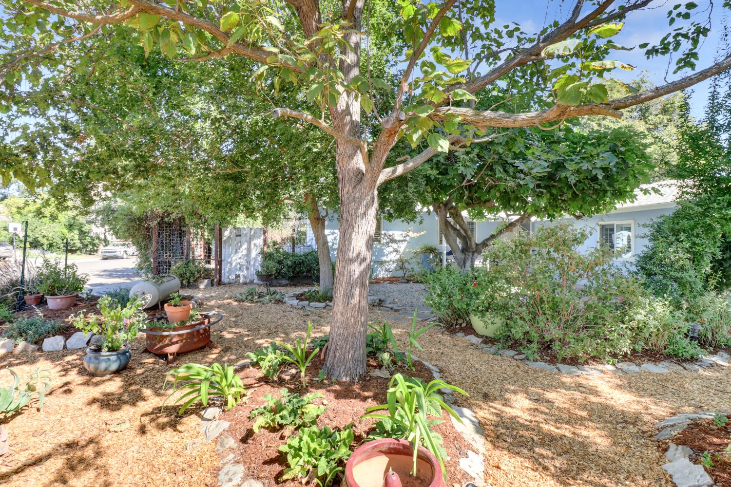 2405 Temple Drive