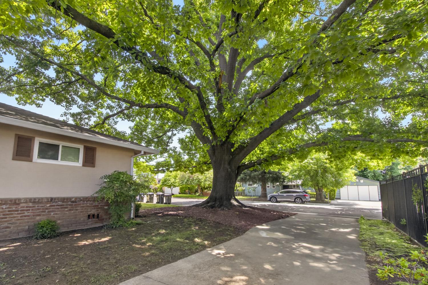 153 Globe Avenue