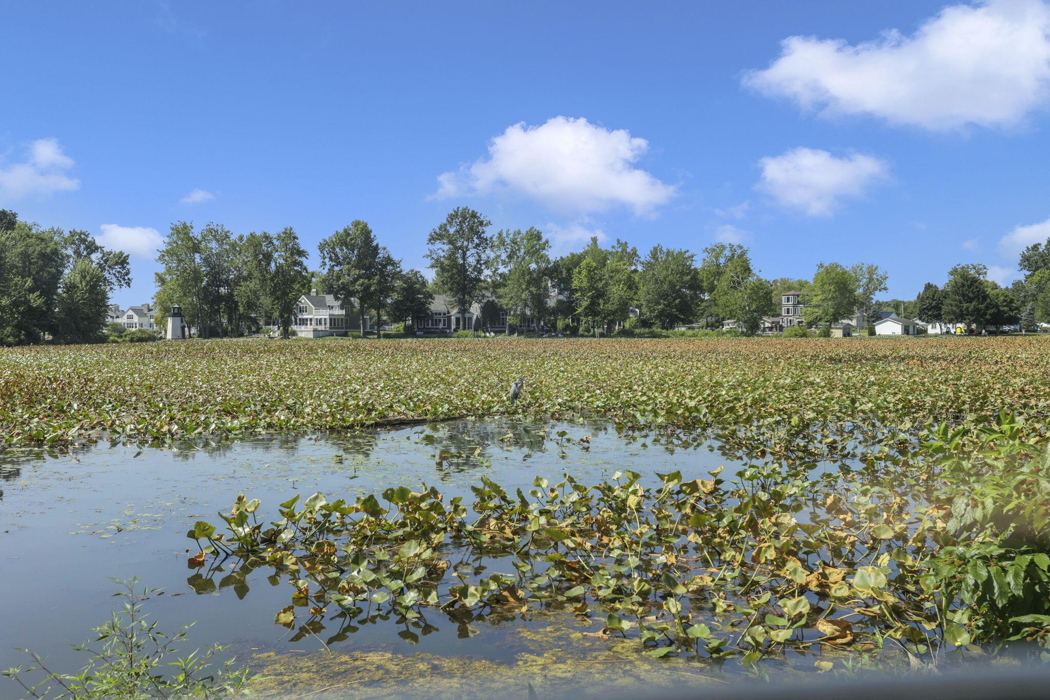 14978 Township Rd 403