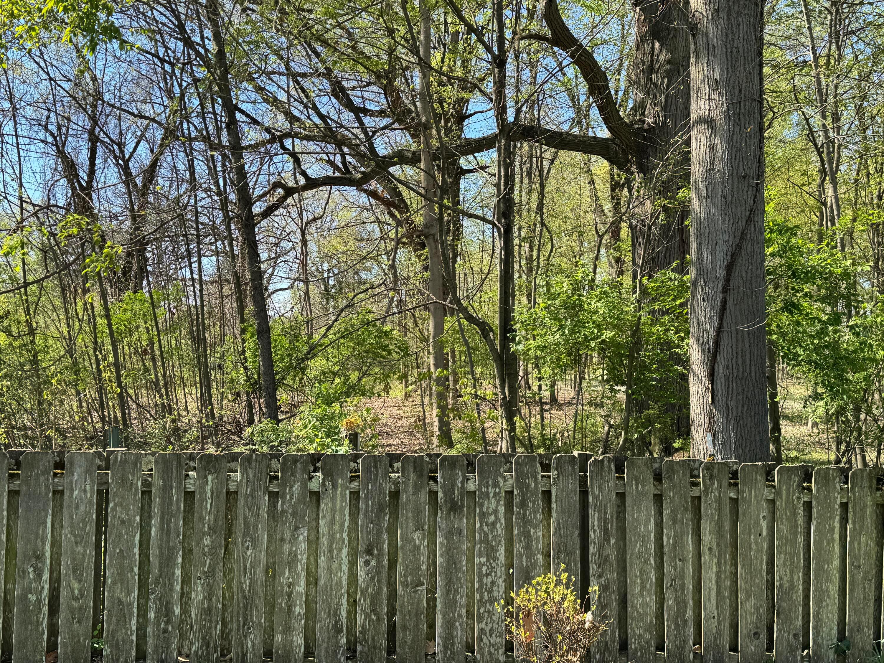 843 Harmony Drive