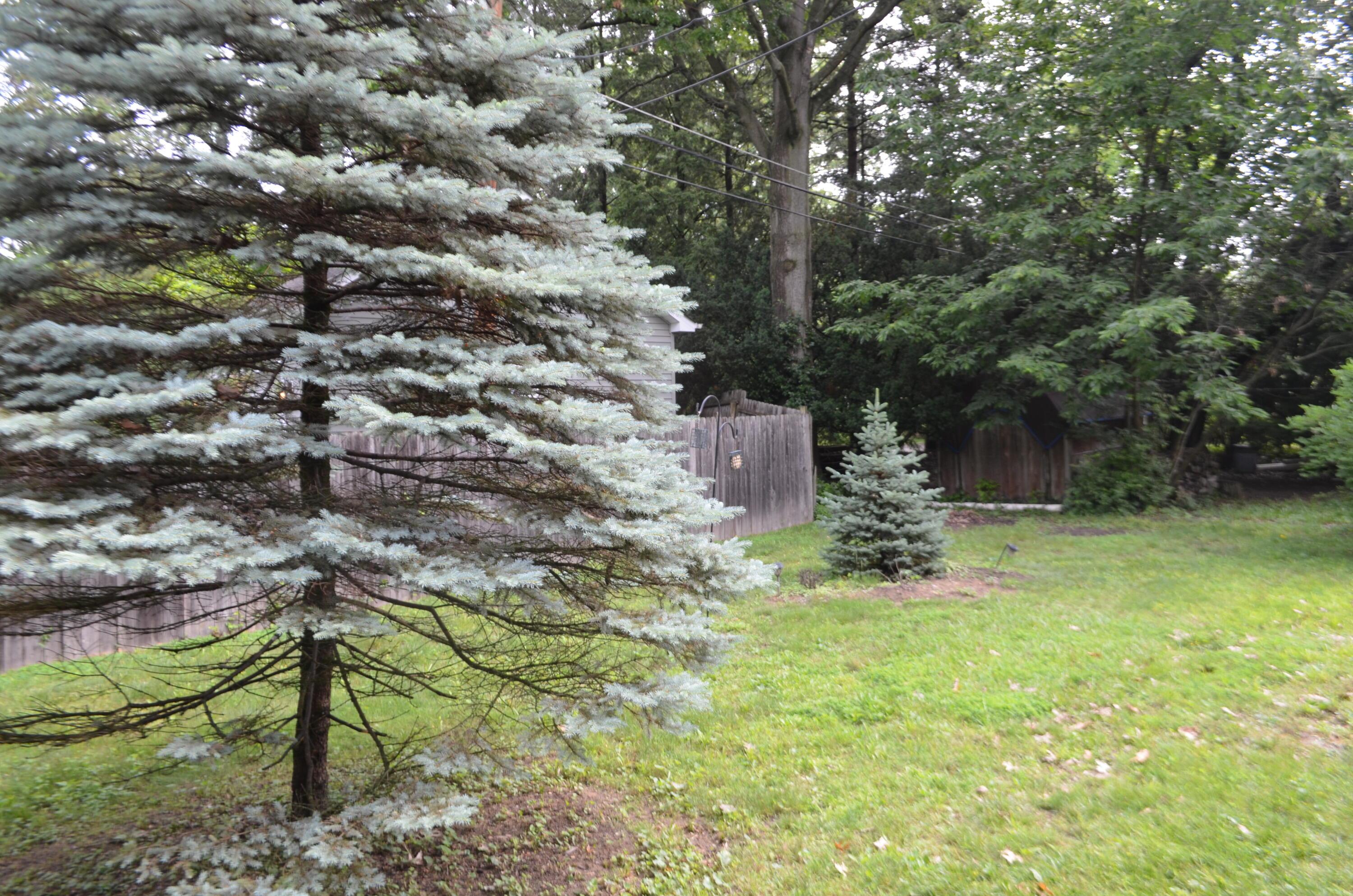 494 Park Overlook Drive