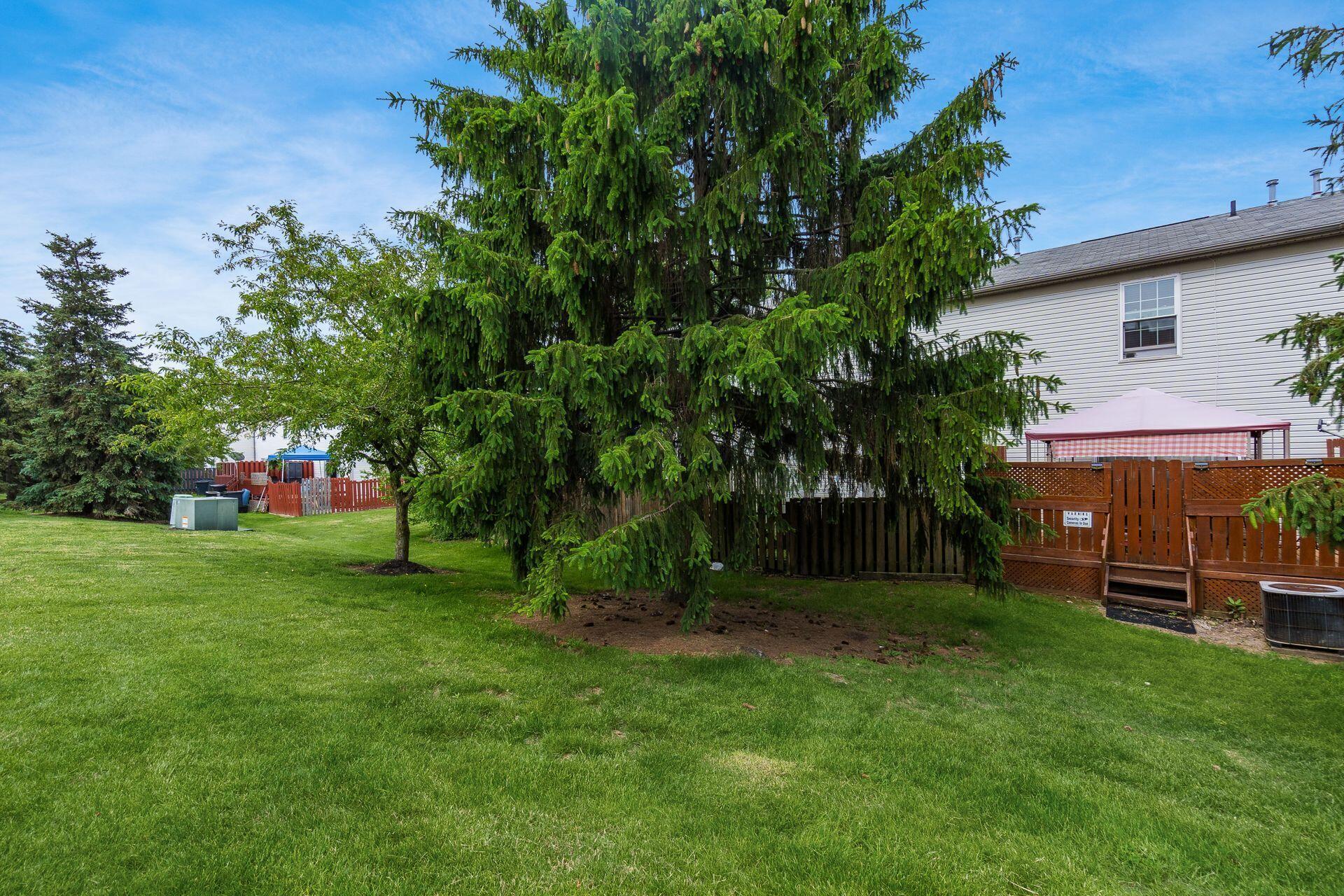 169 Malloy Lane, 23A