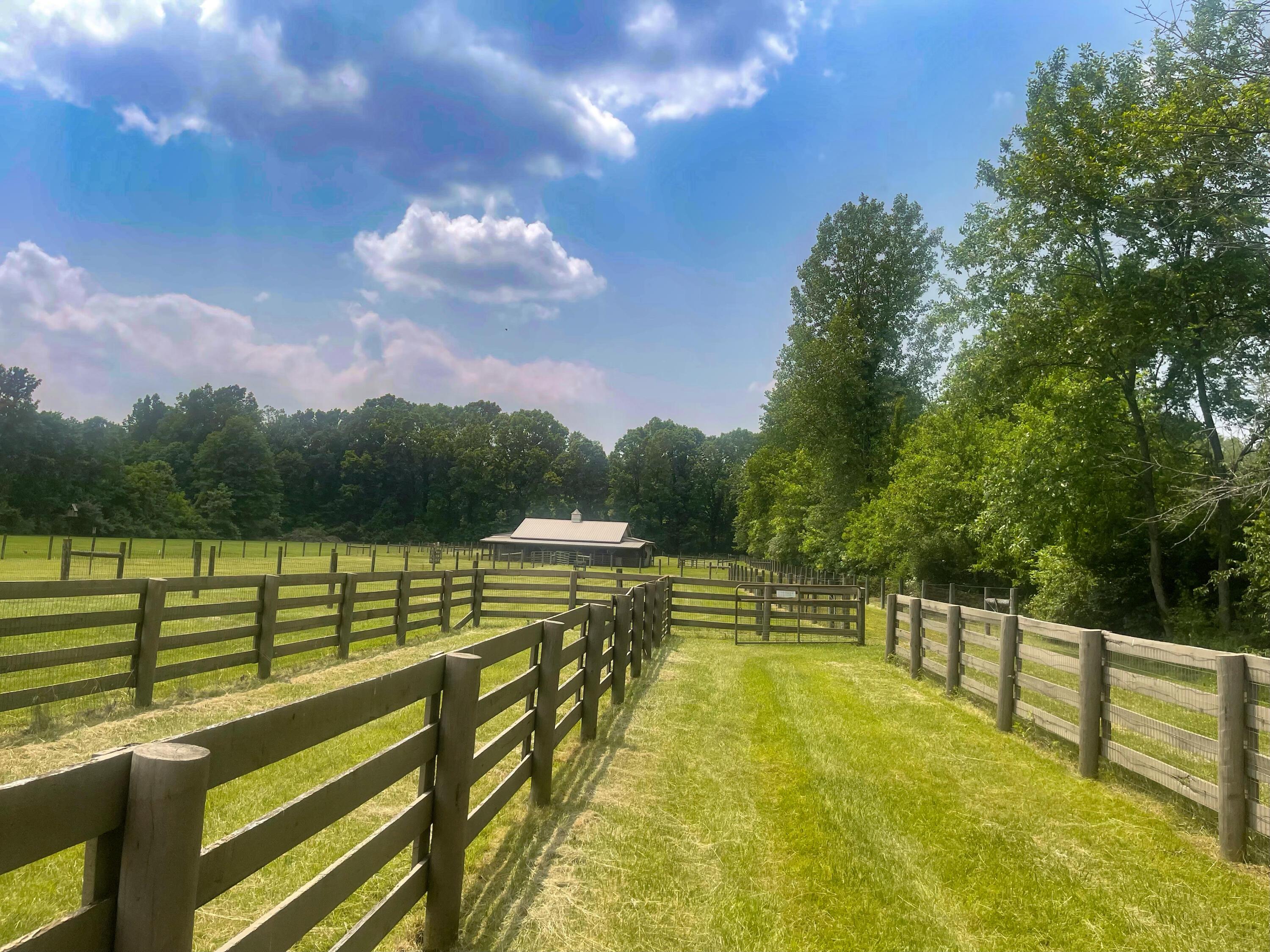 3515 Babbitt Road