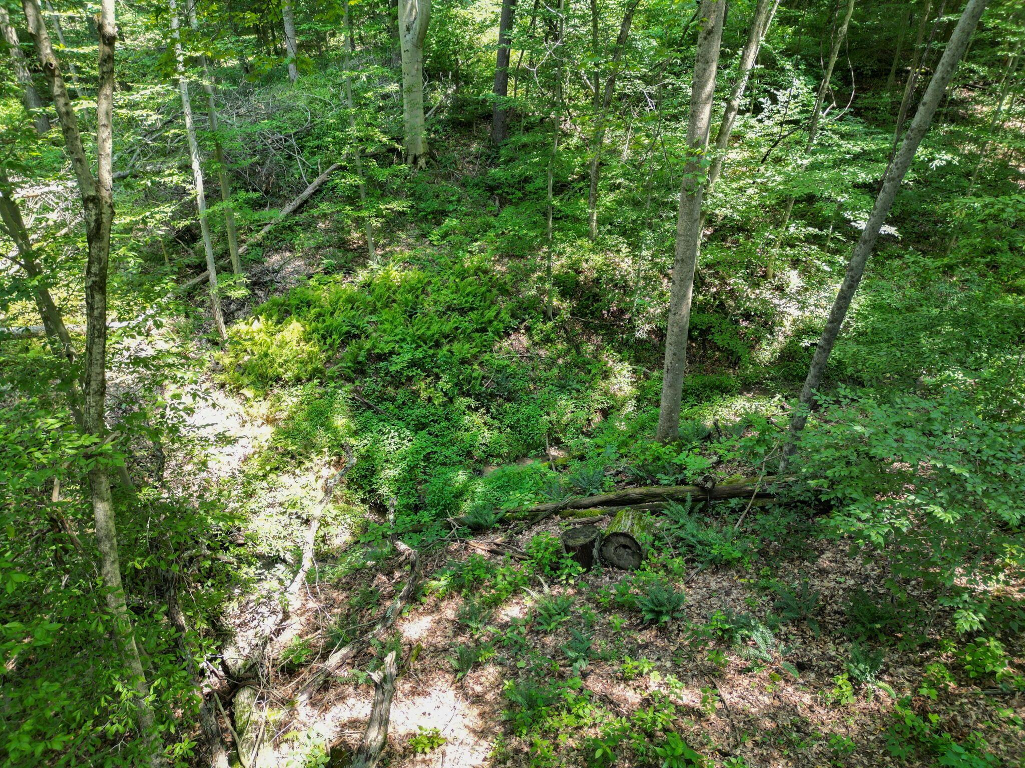 8935 Bagley Road