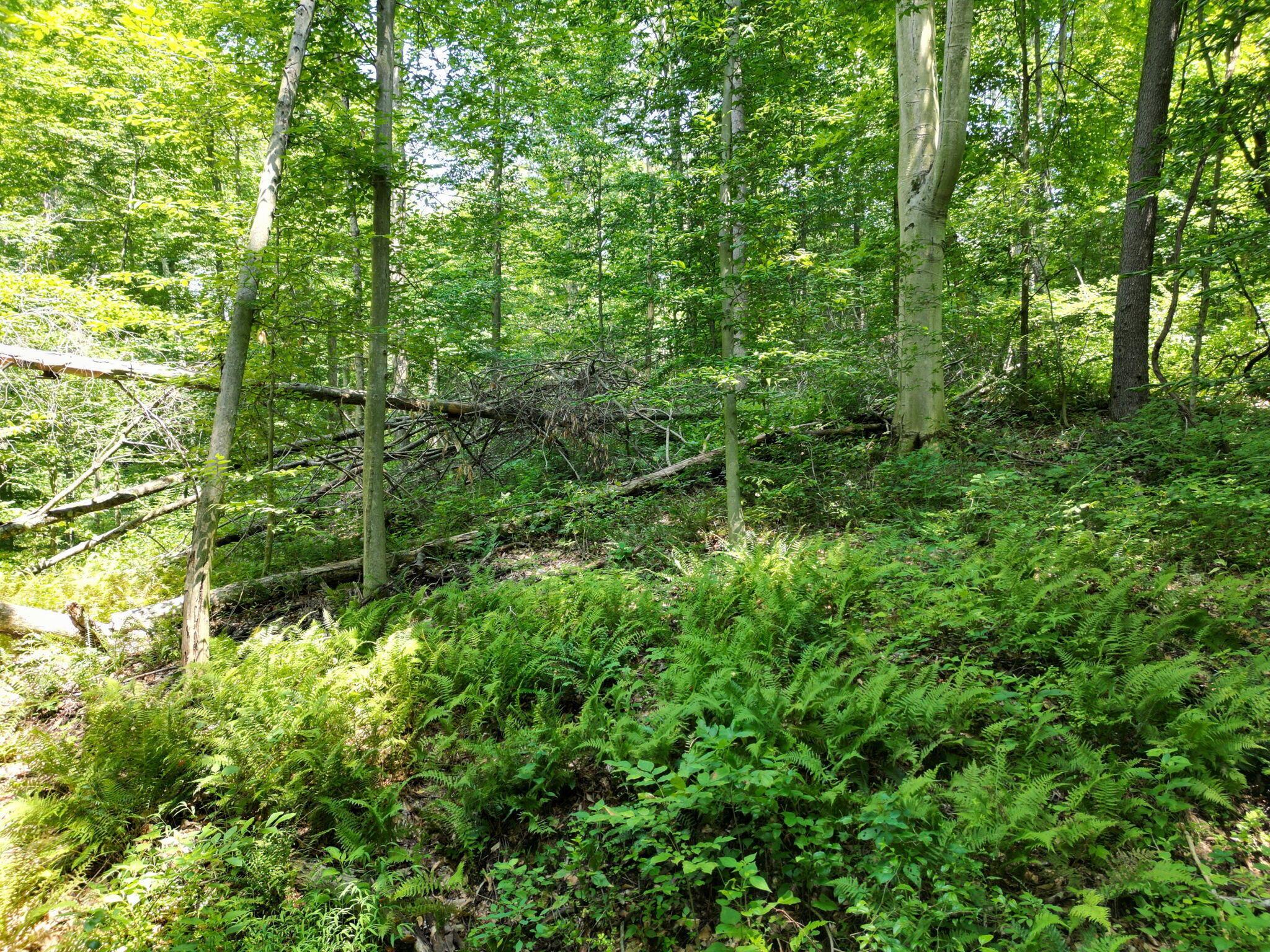 8935 Bagley Road