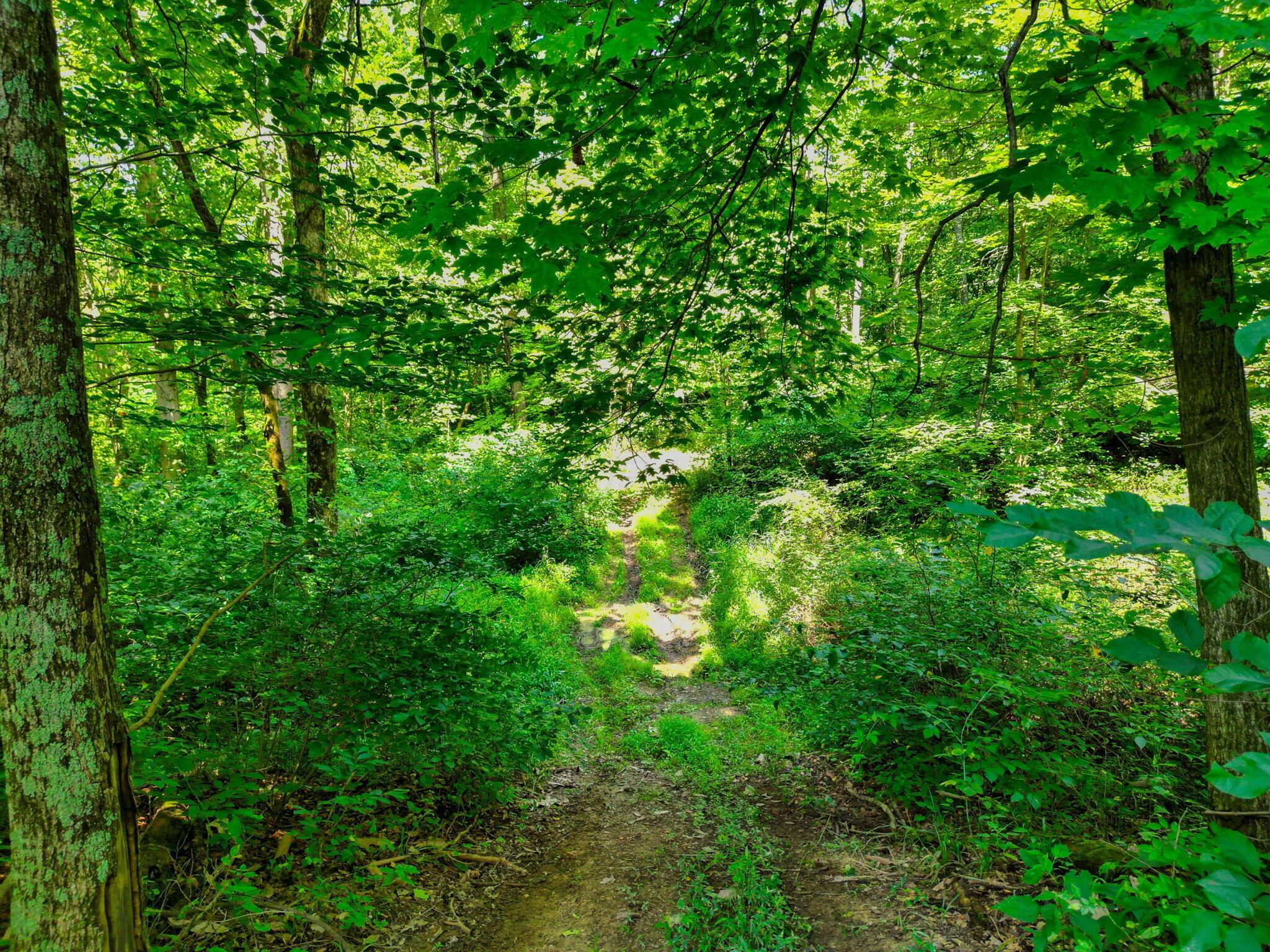 8935 Bagley Road