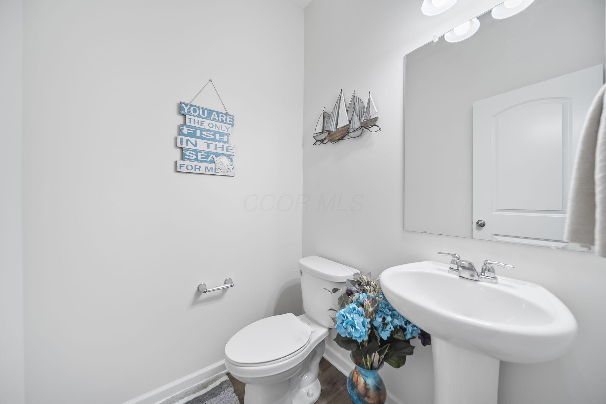 1167 Lake Forest Drive