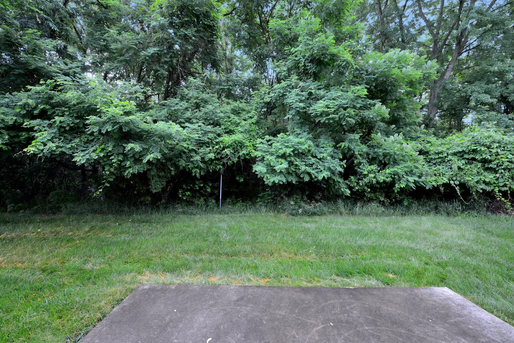 7931 Champaign Drive
