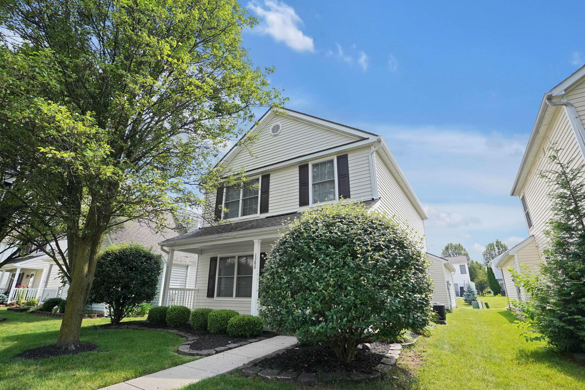 1386 Chickweed Street, 244